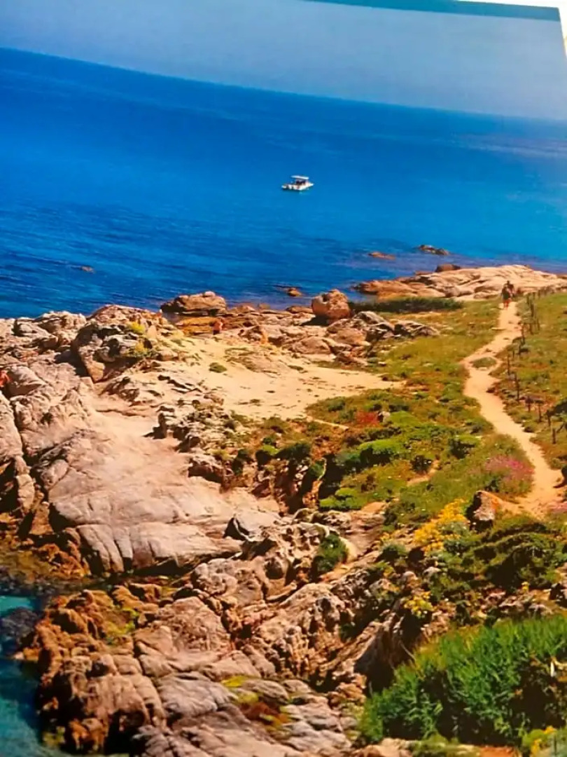 Clos des Vignes Pampelonne Vineyard