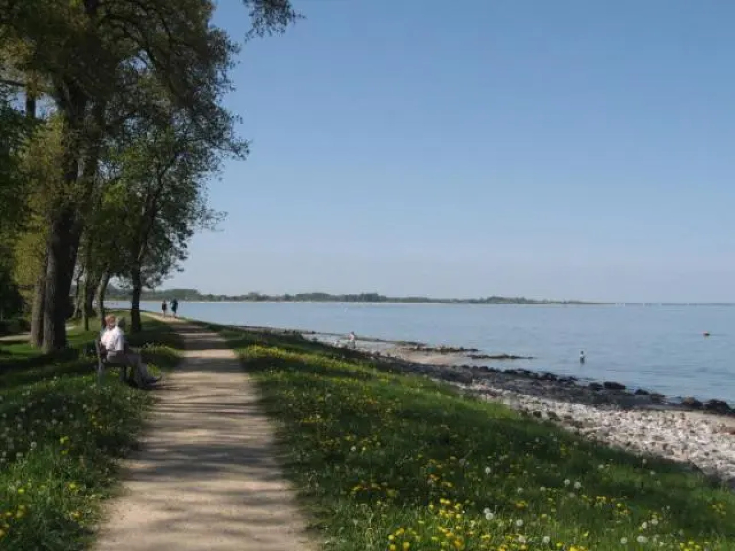Schlei Idyll