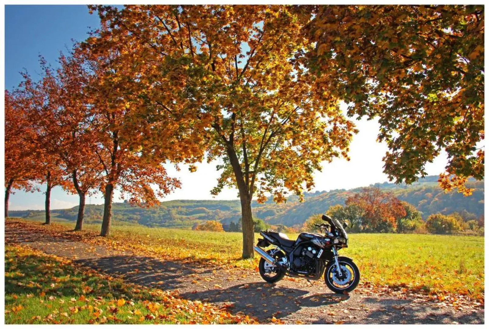 Hetényi Apartmanház és Birtok