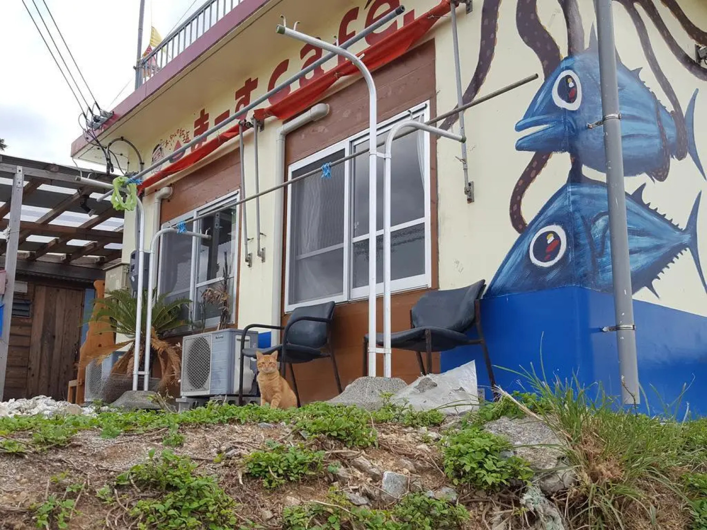 Guesthouse Sunset Hill Bise - Hostel