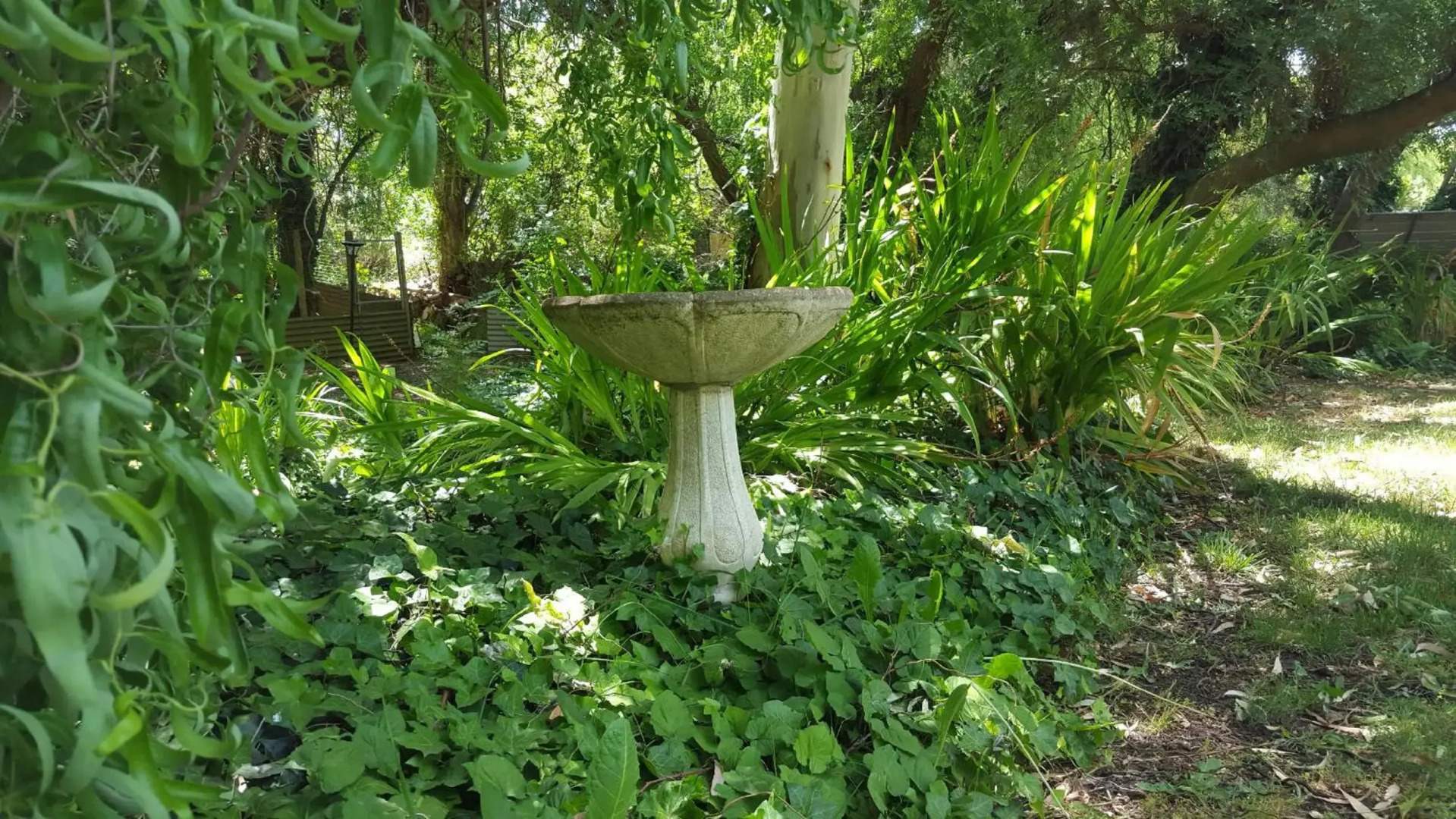 Angaston by the Winter Creek