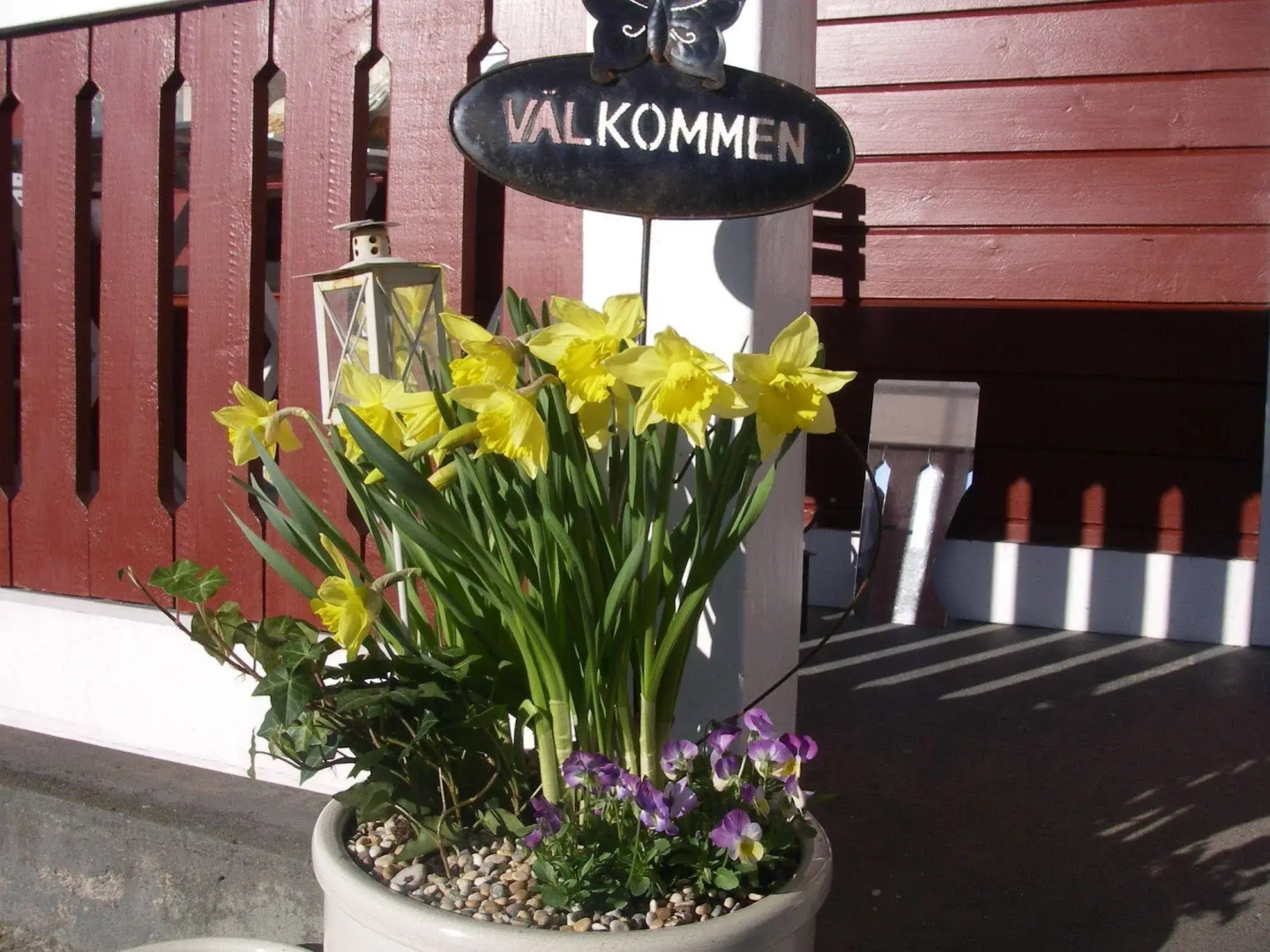 Sjötorps Vandrarhem & Rum - Hostel