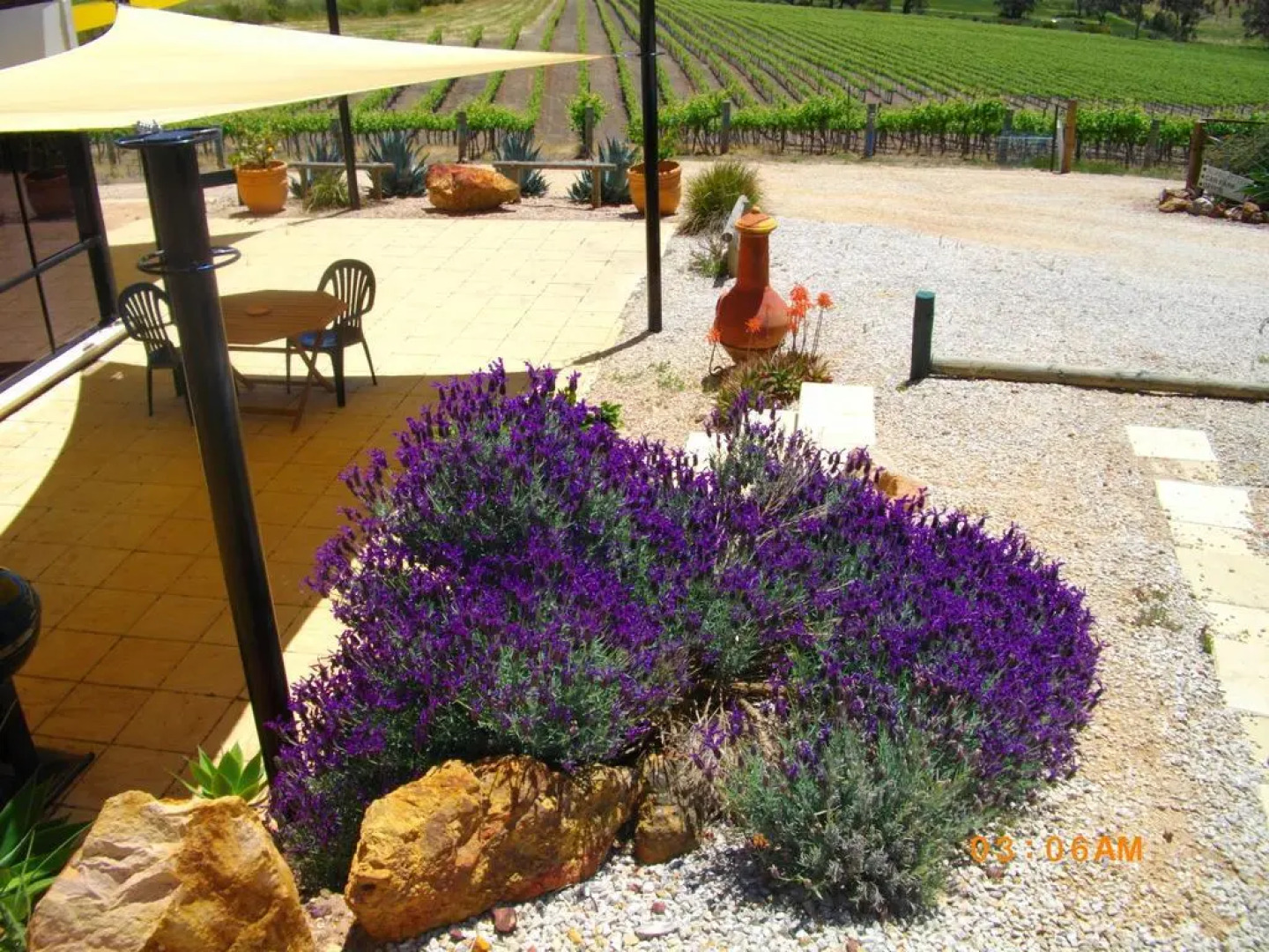 Mt Surmon Wines/Scarlattis Gallery/The Retreat