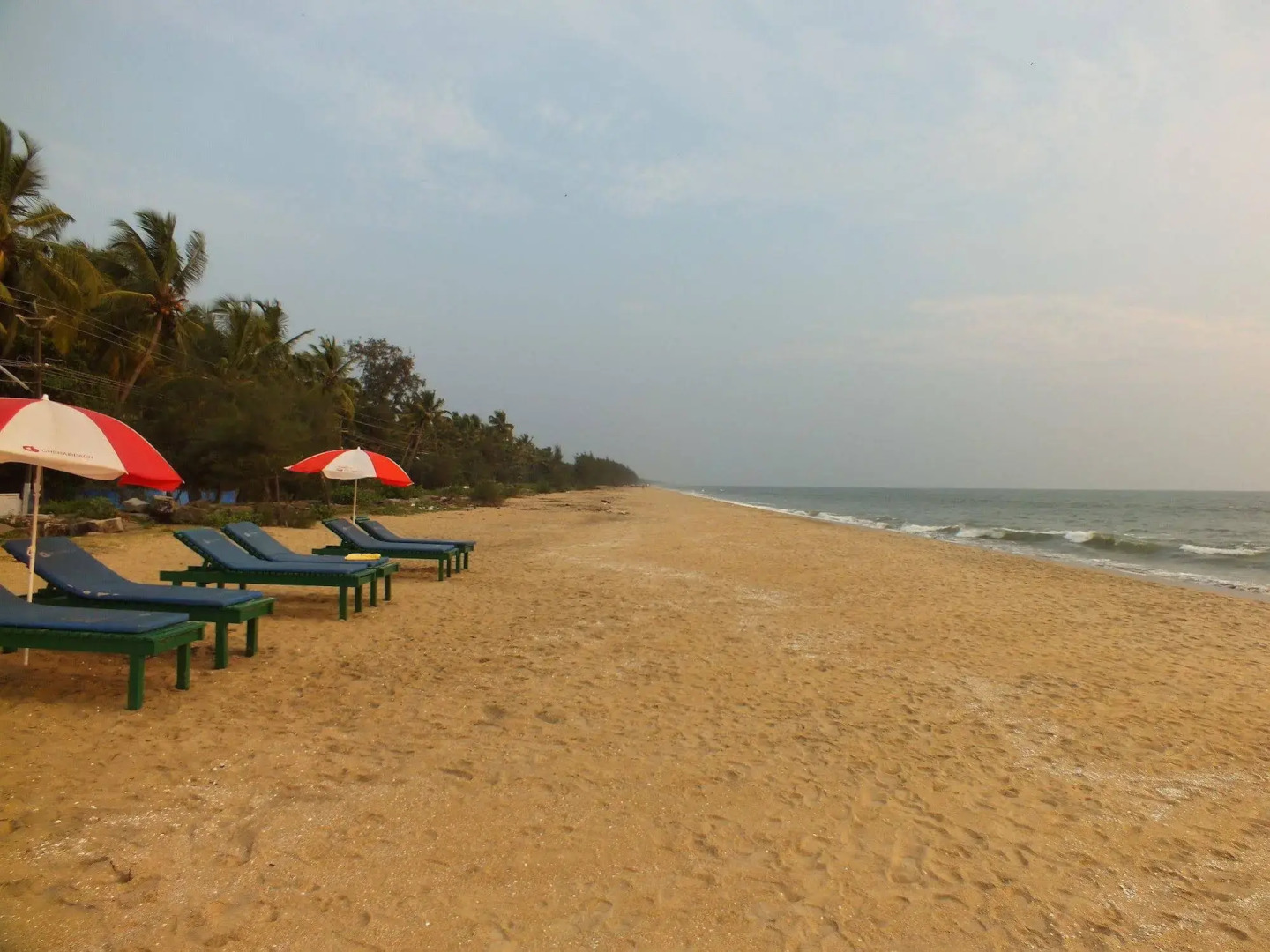 Cherai Beach Residency