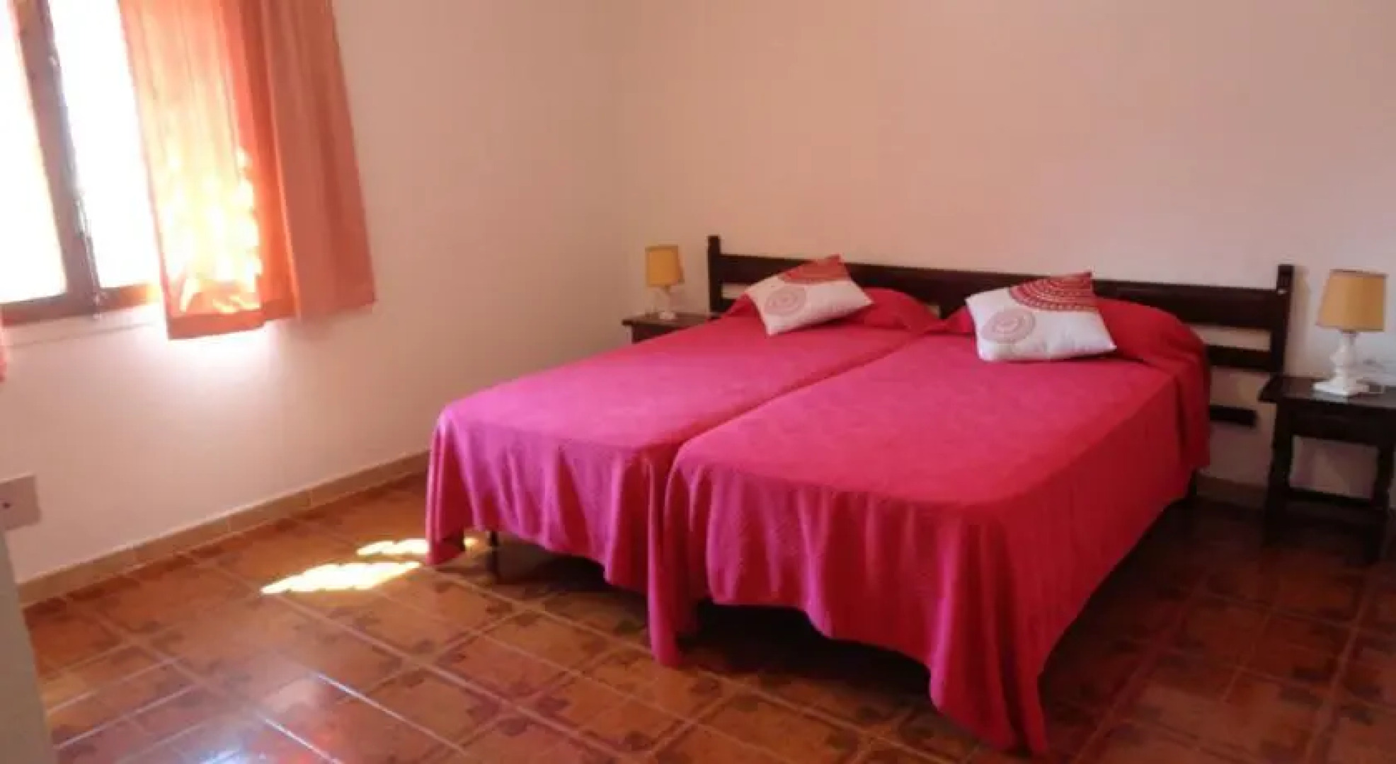 Anforas Mar Sorpresa