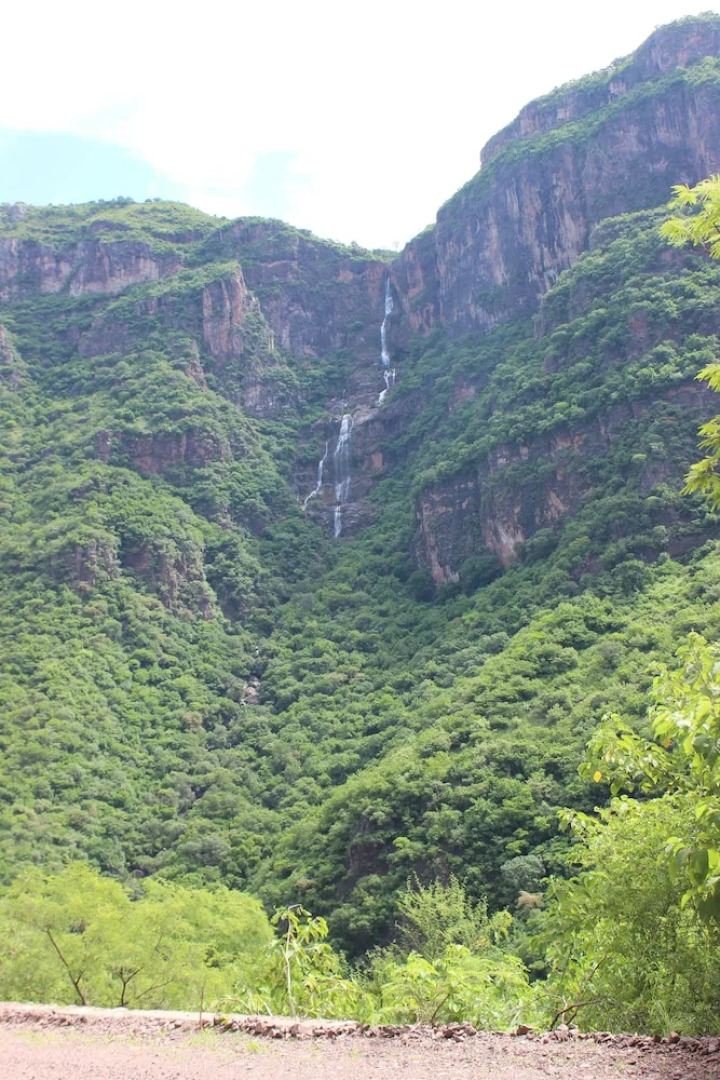 Hotel Ejecutivo Temoris