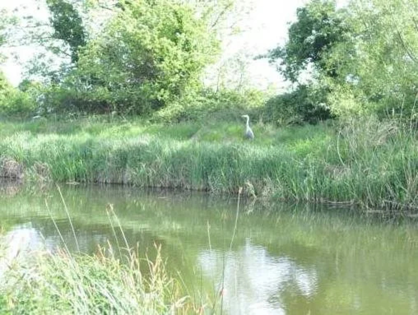 Bridge Bed and Breakfast