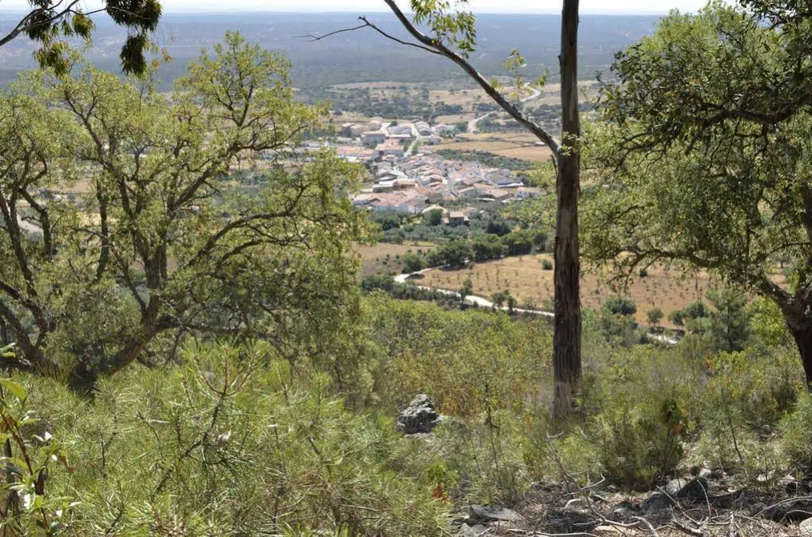 Apartamento Rural Tajo Internacional