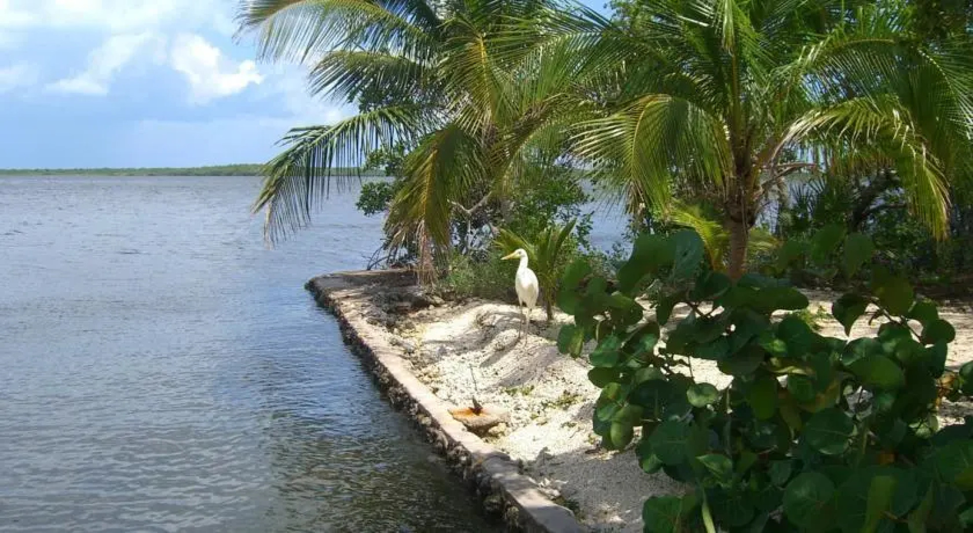 Historic Shadow Point