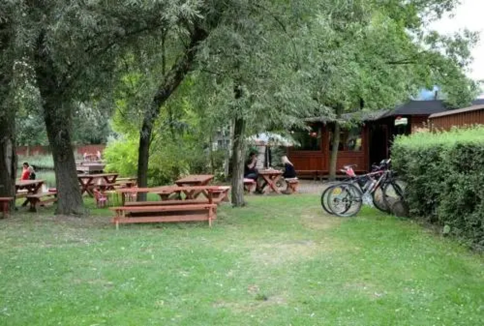 Rybolov pro děti a dospělé