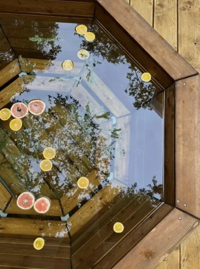 Klever House (Клевер Хаус) Лехтуси Парк