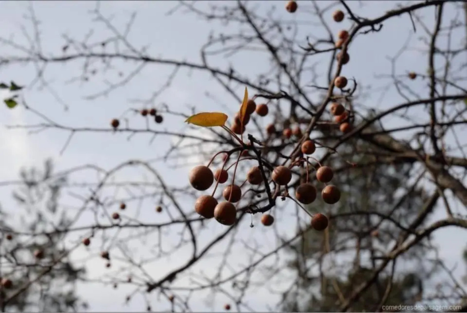Casa de Sistelo - Turismo Rural Gerês