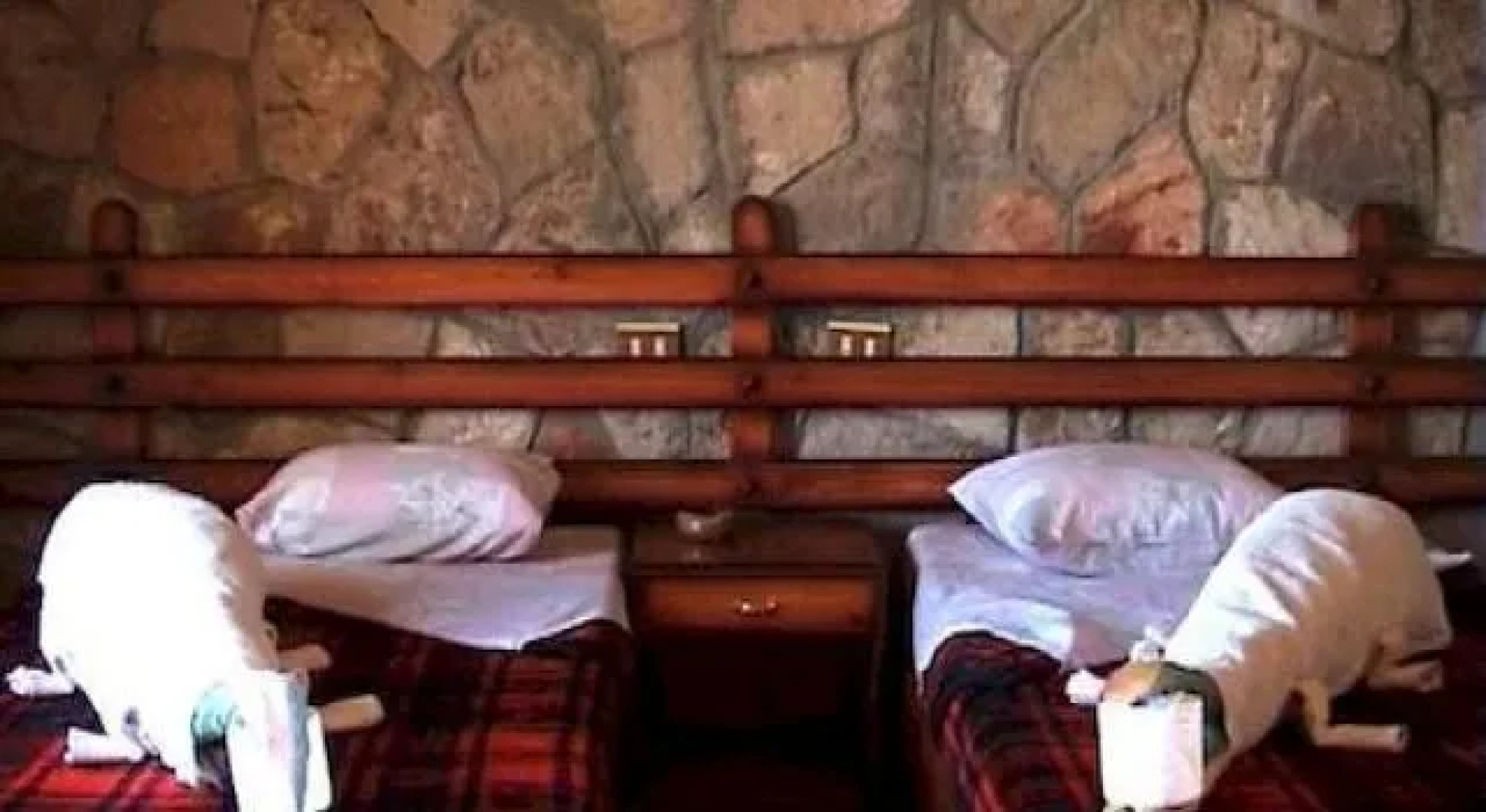 Ecolodge Bedouin Valley