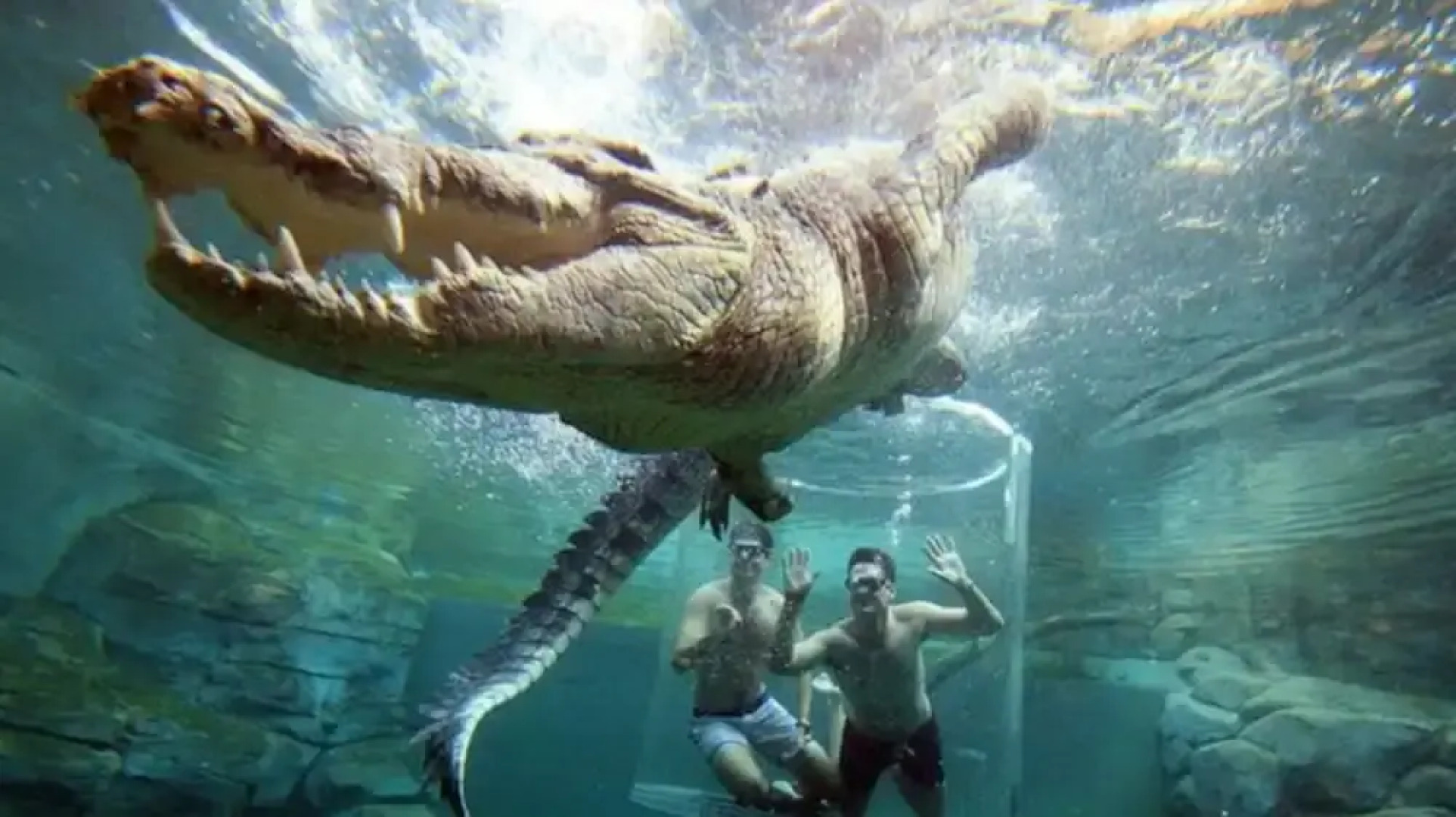 Zen Serene Seascape Family Pool BBQ Markets