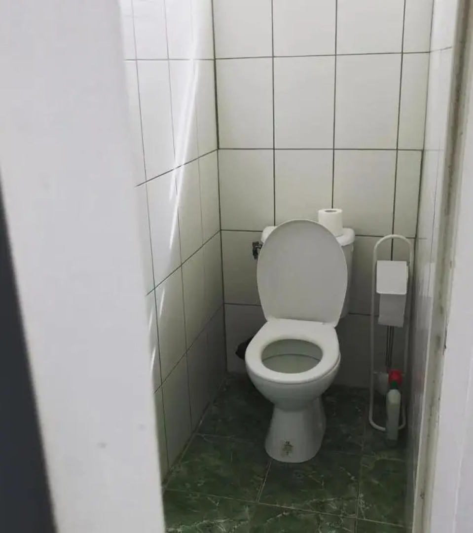 Tropic Arth Paradise