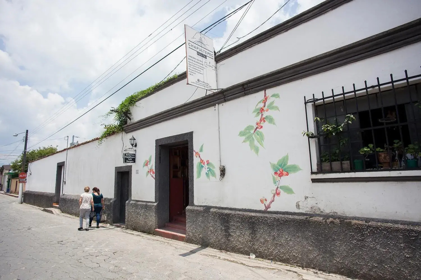 Hotel Casa Chapultepec - Hostel