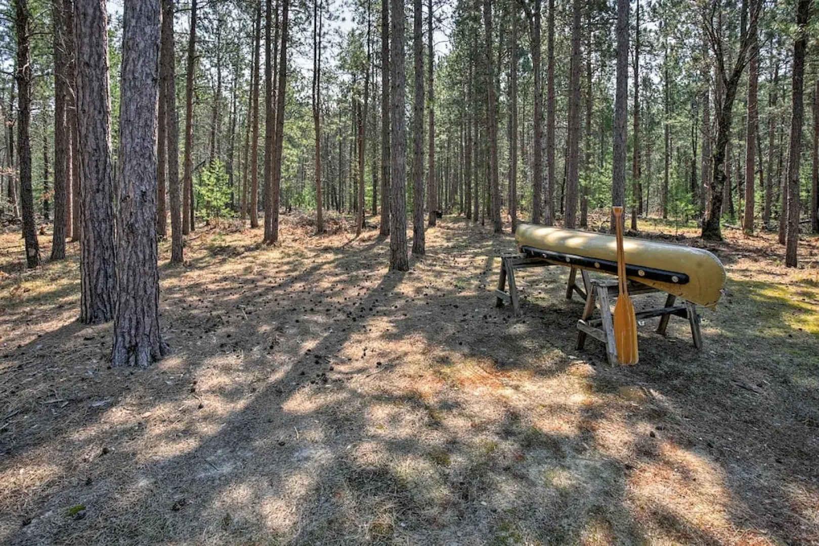 Private South Boardman Cabin on 10 Forest Acres!