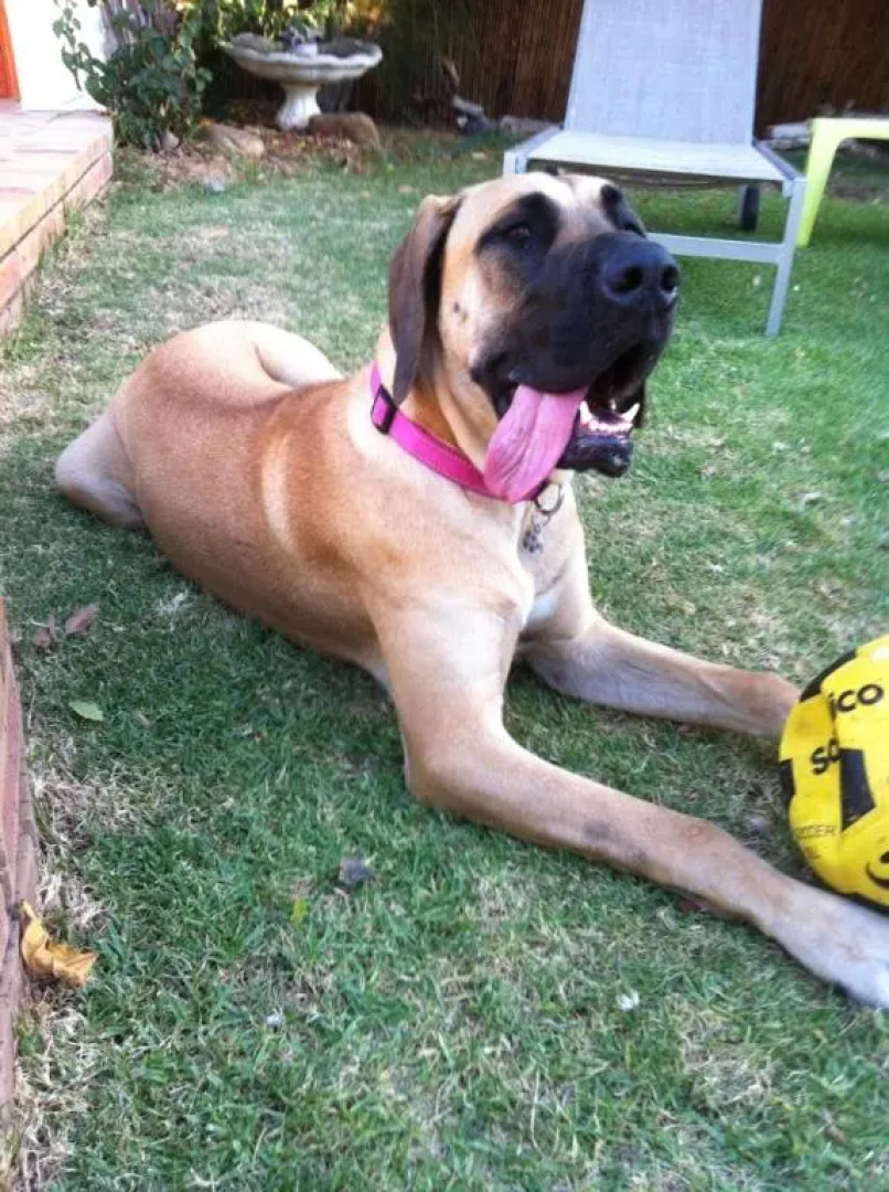 Roundhouse Guesthouse