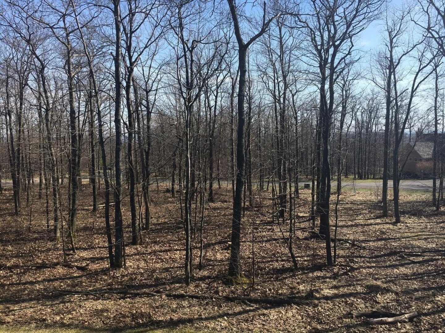 Baraboo Lodge 4 Bedroom Townhome