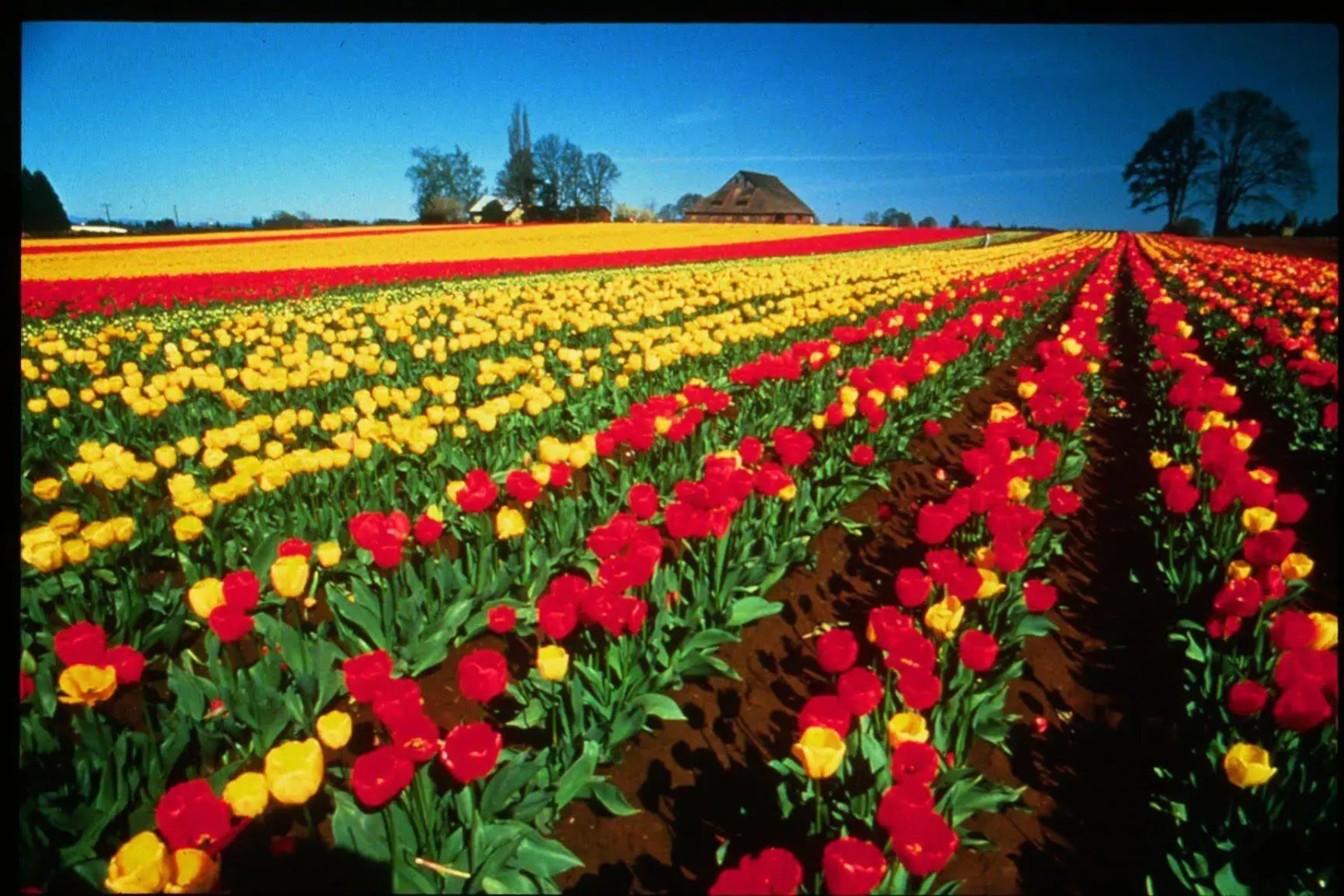 Hampton Inn & Suites Salem, OR