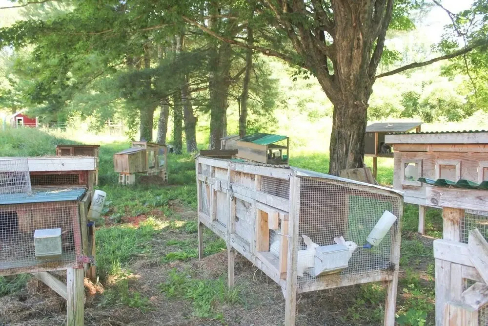 Tentrr - Black Rabbit Farm