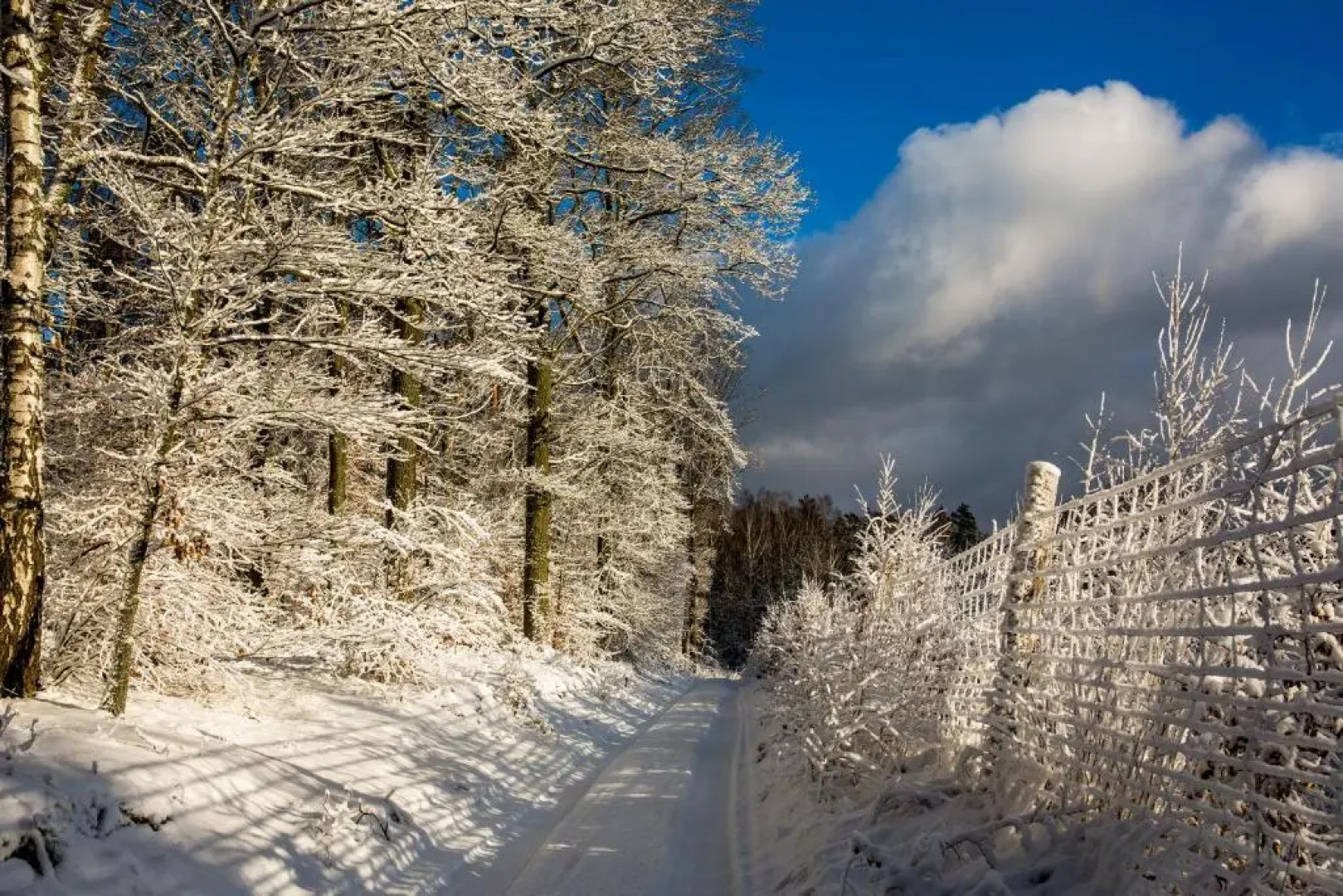 Willa Port Rezydencje 310