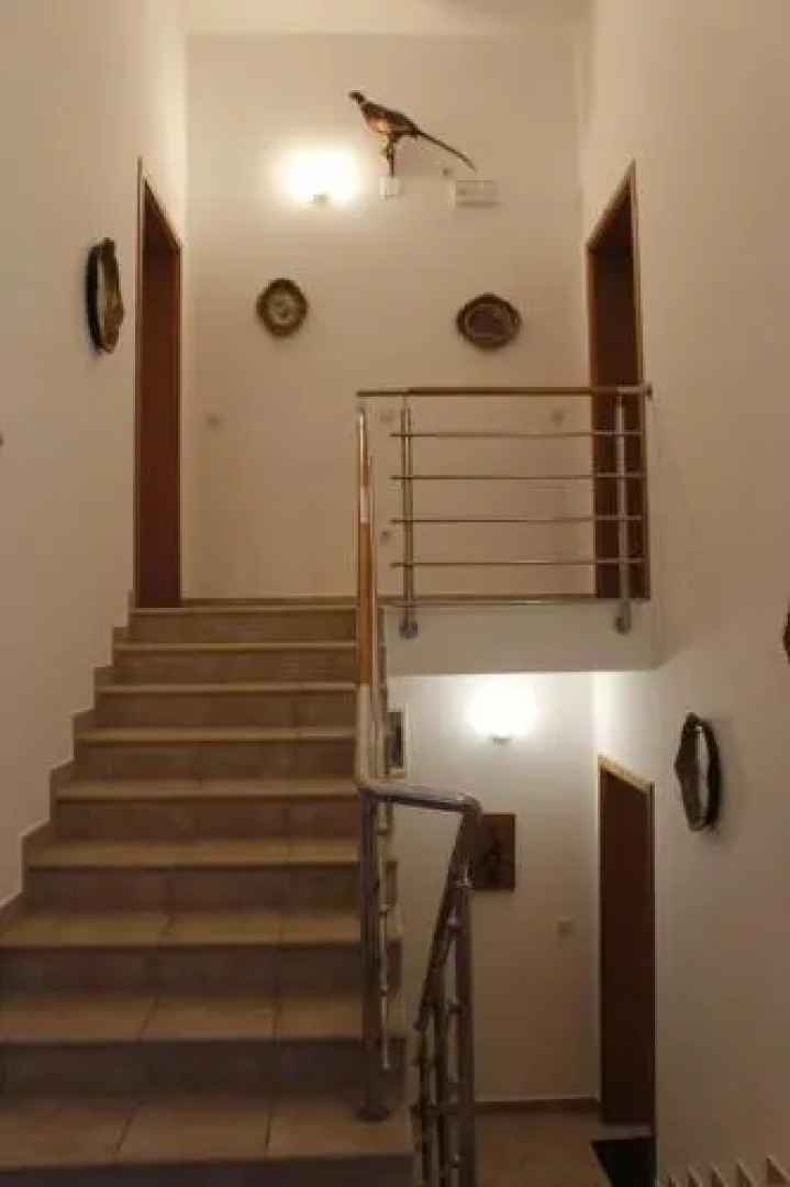 Apartmani Željko