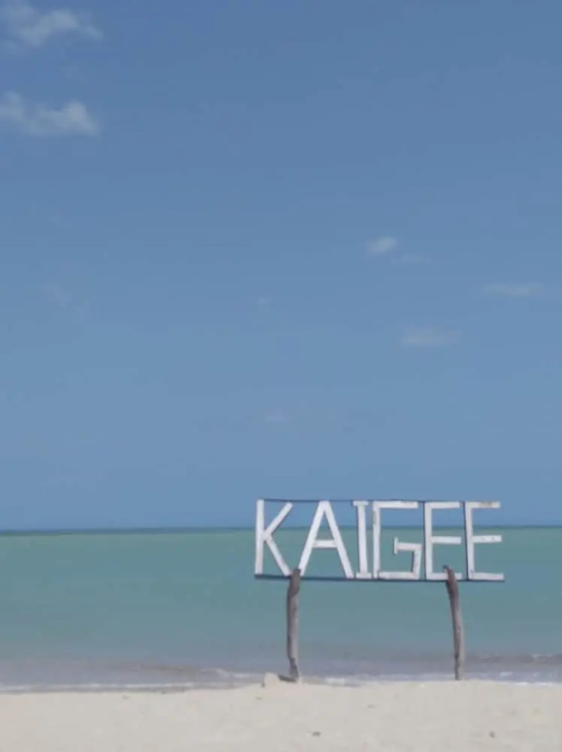 Alojamiento y R Kaigee