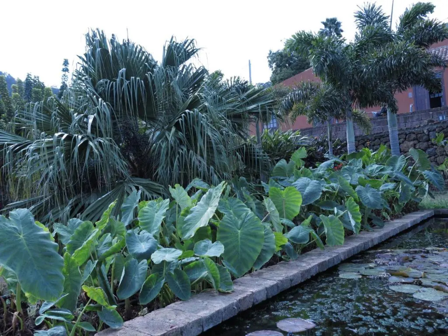 Haciendas del Valle - Las Kentias