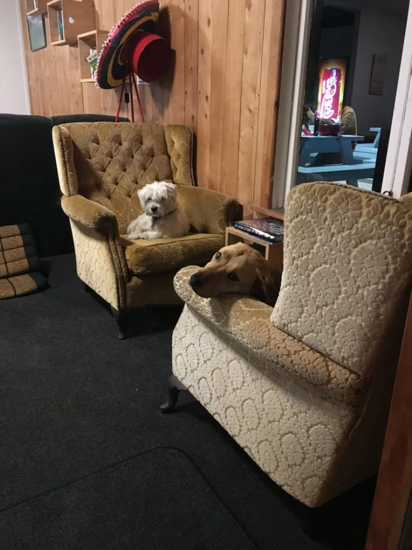 Adventure Inn Marahau - Hostel