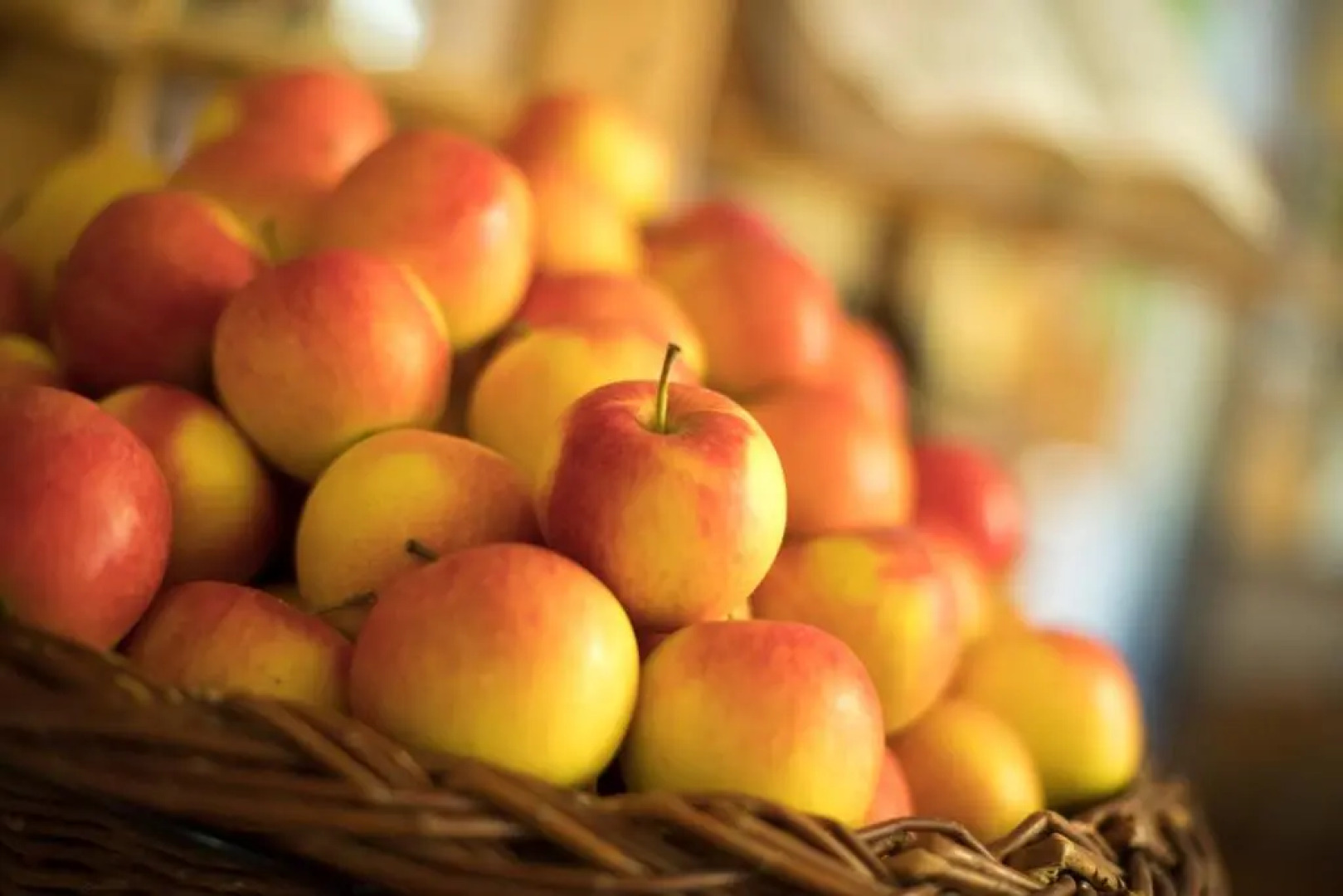 Thermenhof PuchasPLUS Loipersdorf