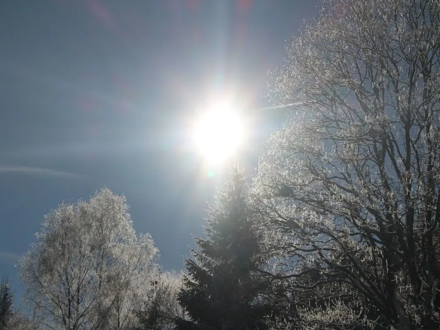 Pleasant Holiday Home in Bischofsreut near Forest