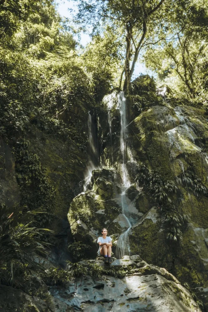 Tigrillo Rio Claroby LosColoresEcoparque