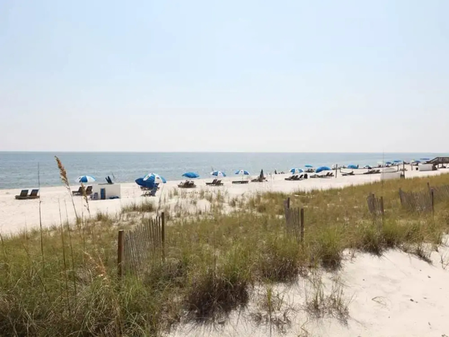 Indigo W0901 Plus Cabana