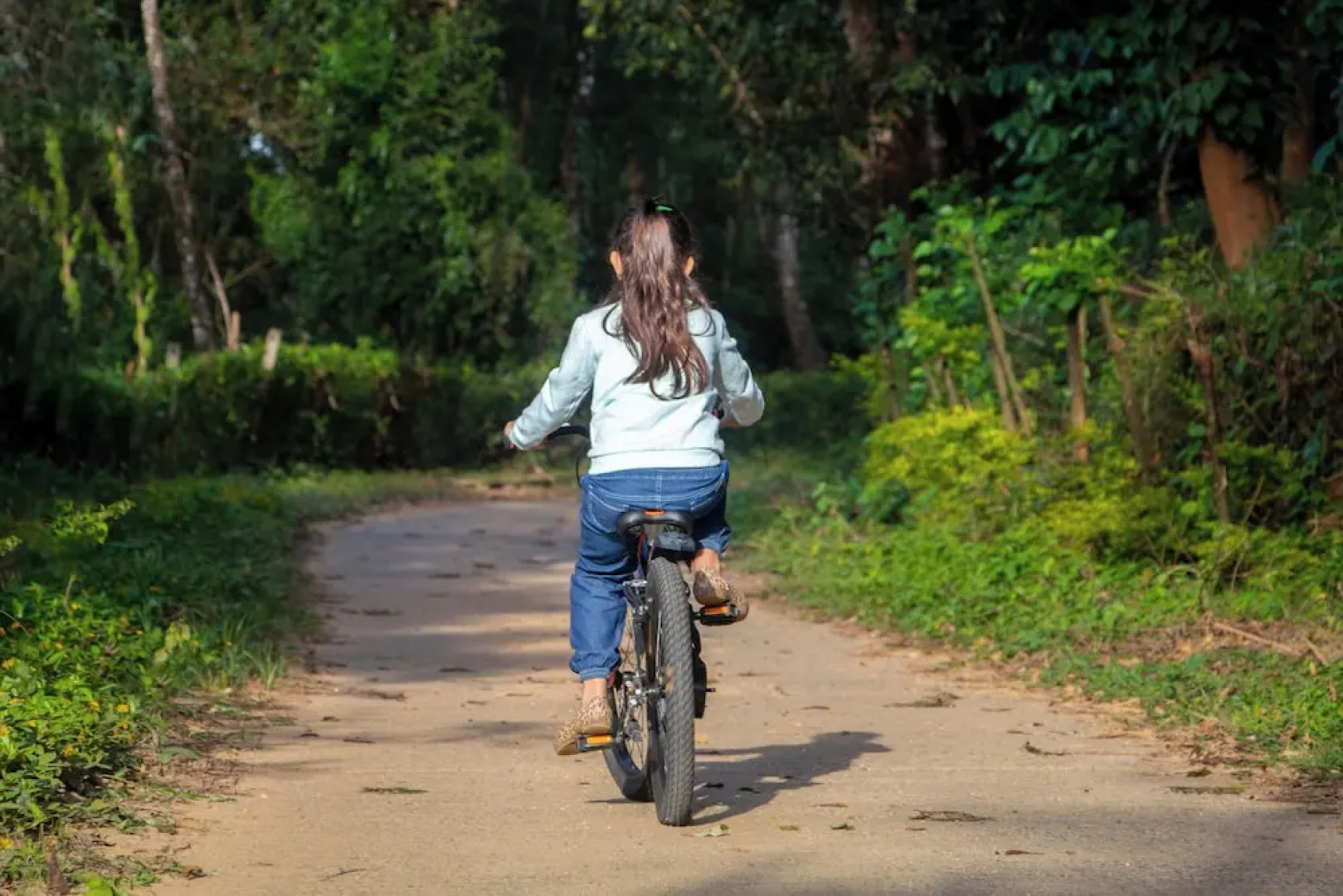 Ambatty Greens Resort