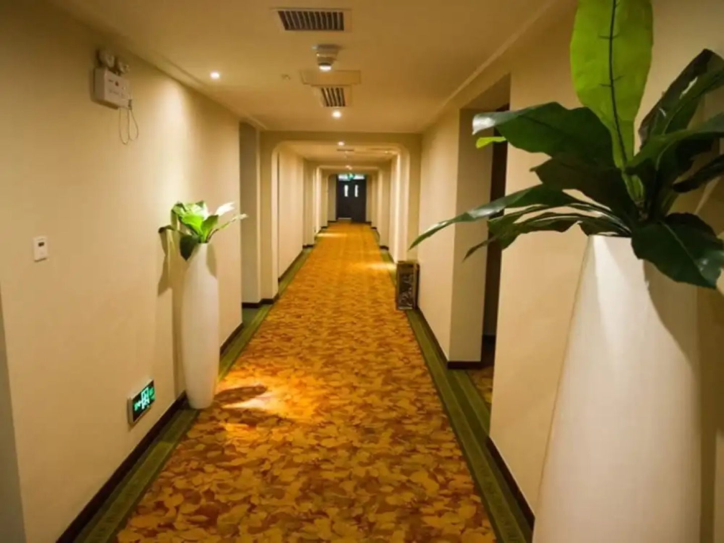 GreenTree Inn Anhui Wuhu Zhongshan Road Pedestrian Street Express Hotel