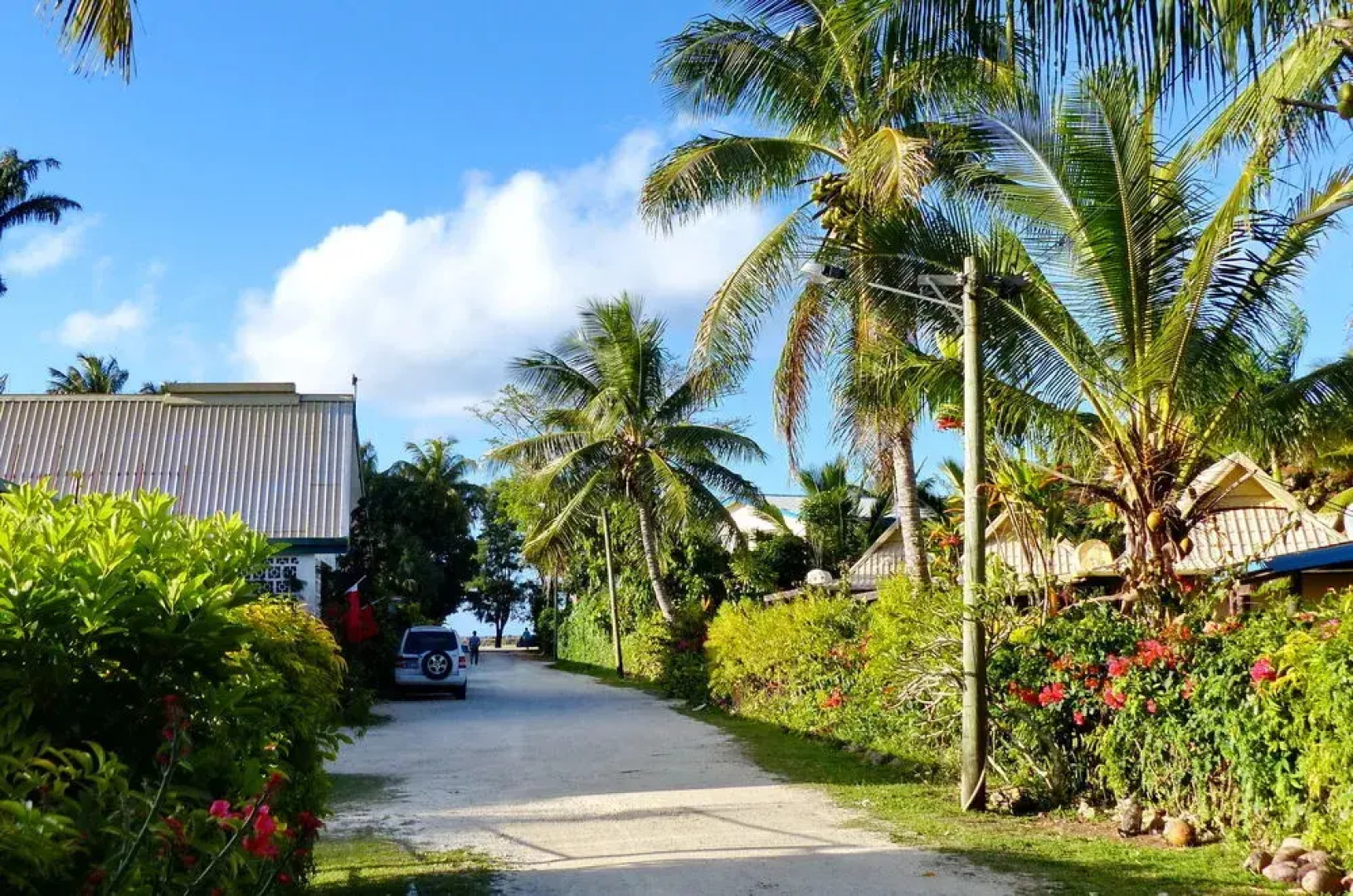 The Friendly Islander (Papiloa's)
