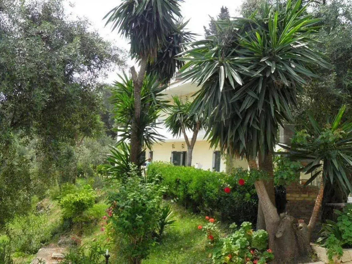 Veroniki Studios & Apartments