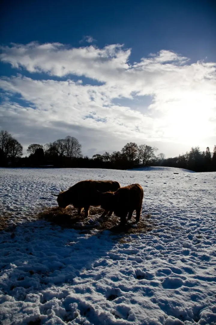 Richmond House Hotel