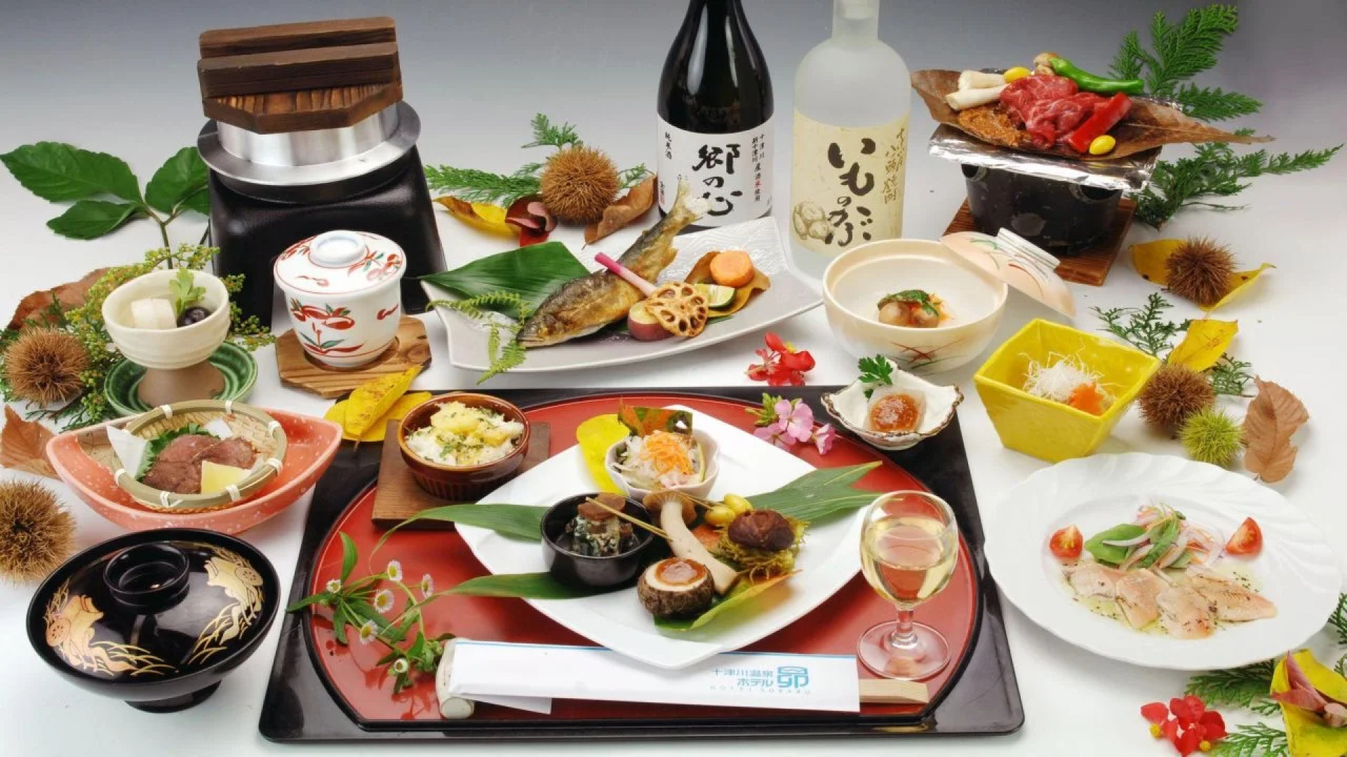 Totsukawa Onsen Hotel Subaru