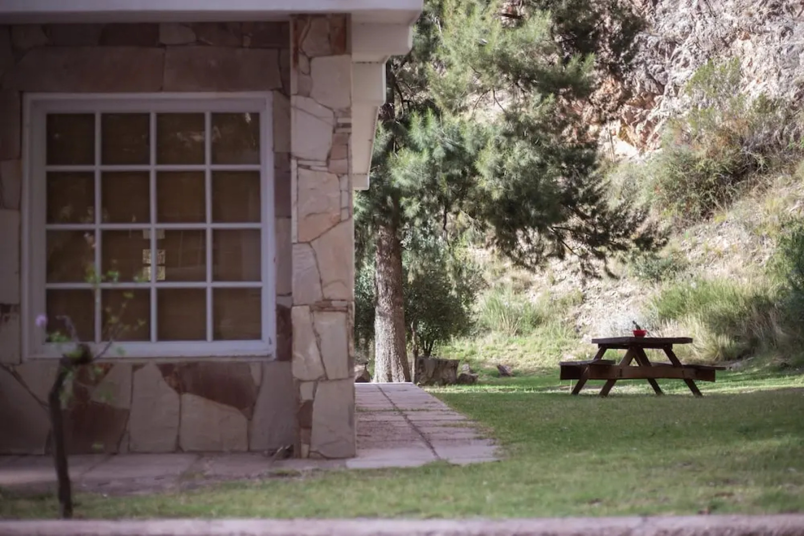 Bosque Divino Cabañas & Suites