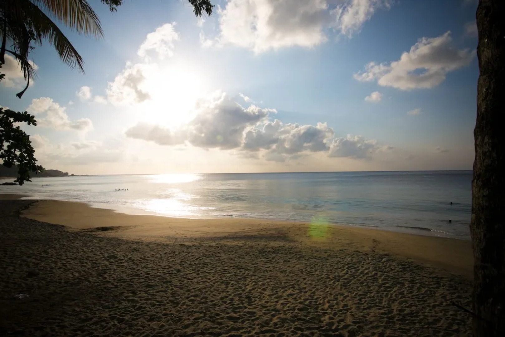 Robbie's Place Tobago