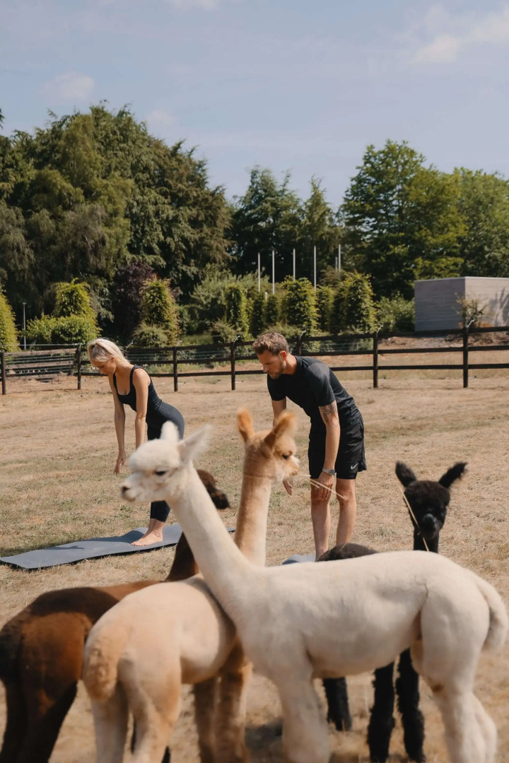 Domaine des Hautes Fagnes