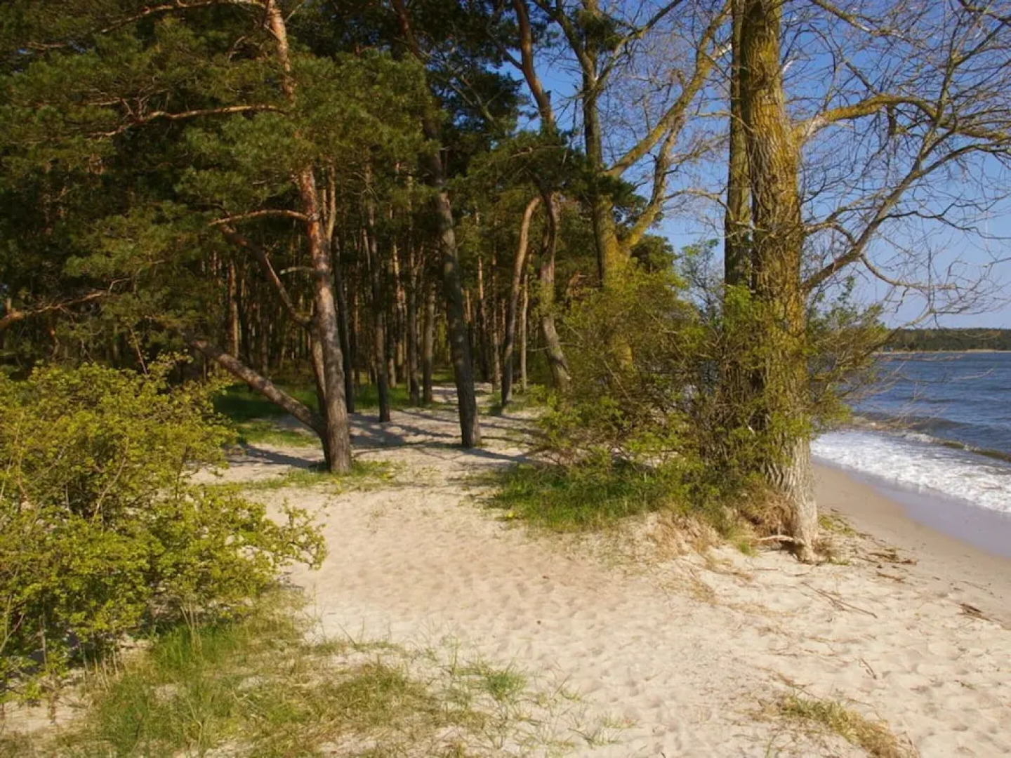 Cosy Apartment in Garz