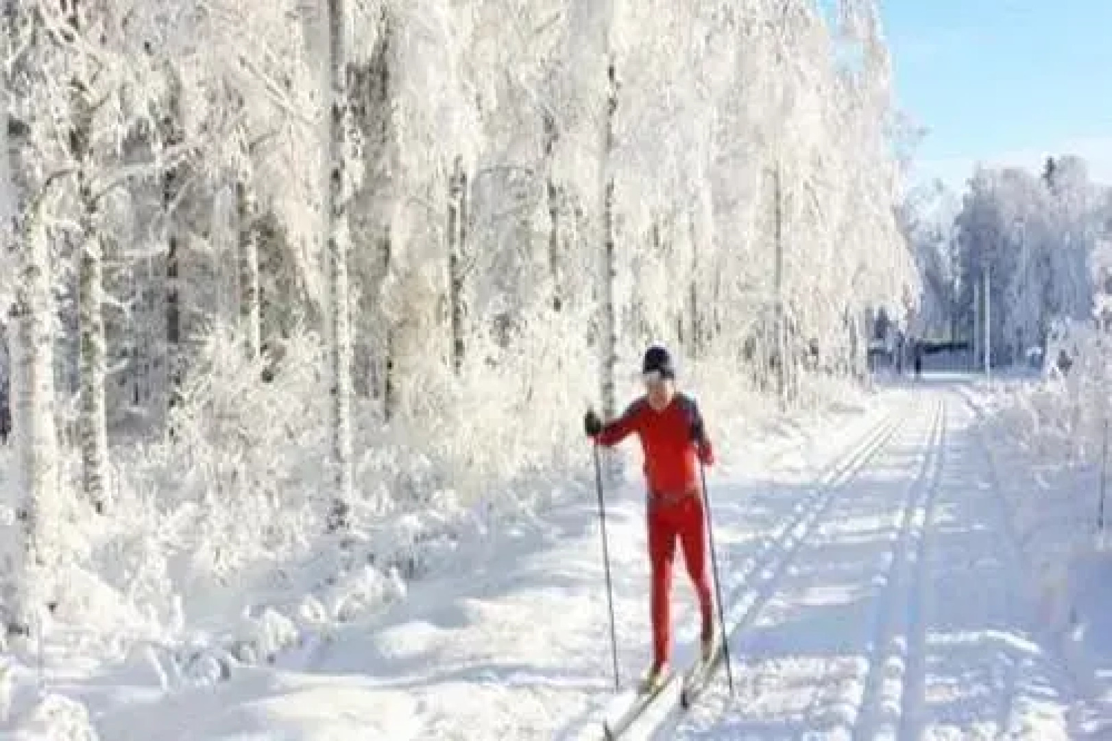 Mösseberg Camping och Stugby