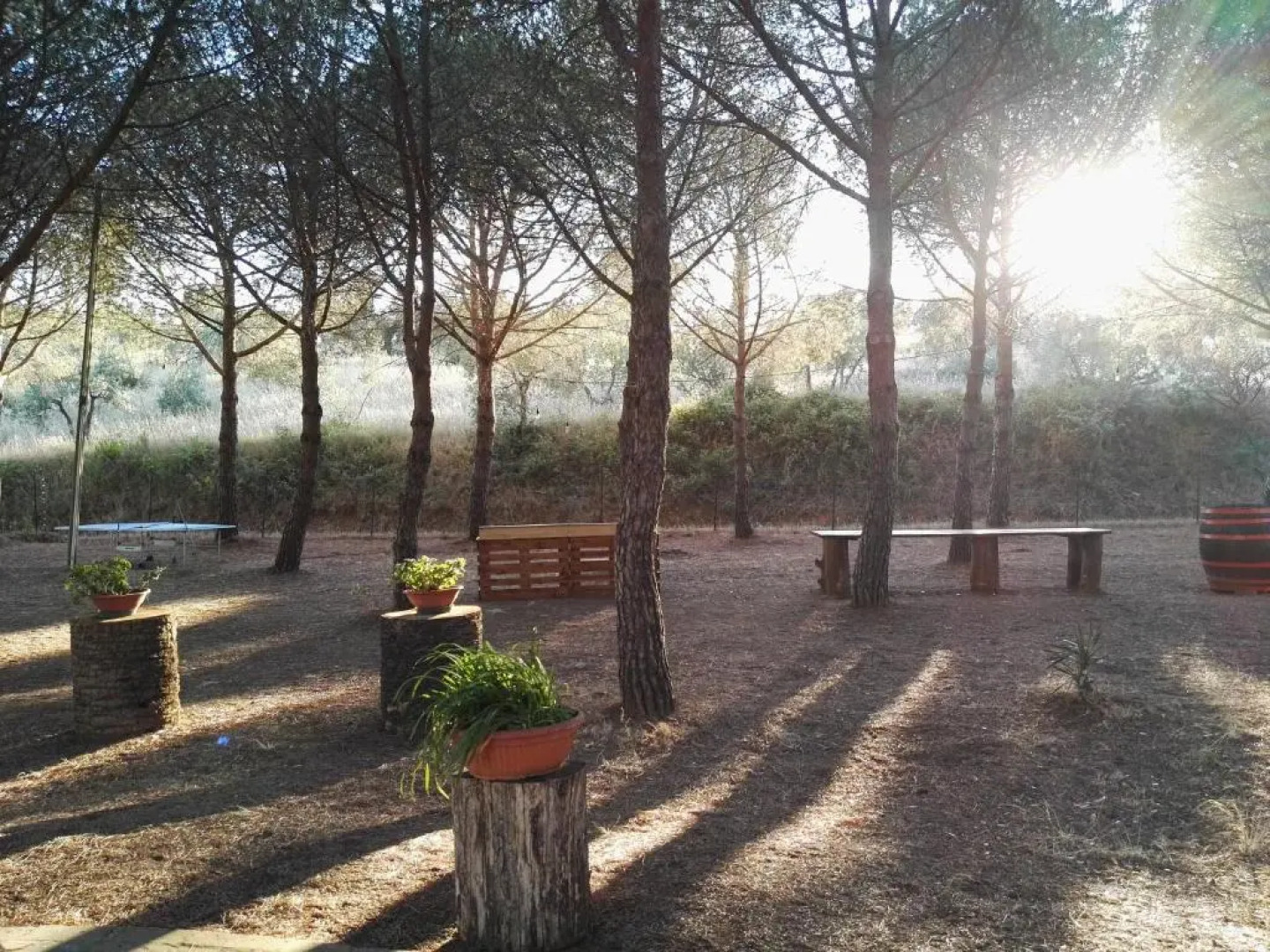 Casa Vacanze Dolce Vita