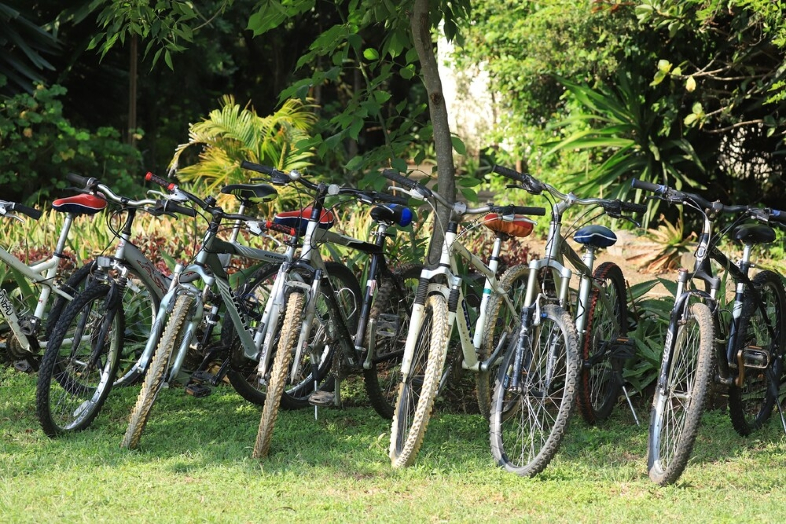 Punda Milias Nakuru Camp