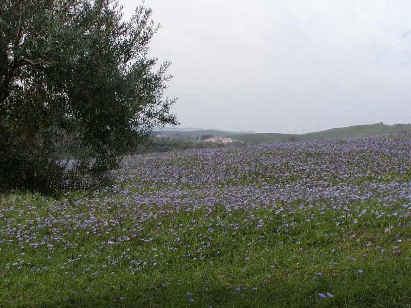 Casa Vacanze TwentyMiles