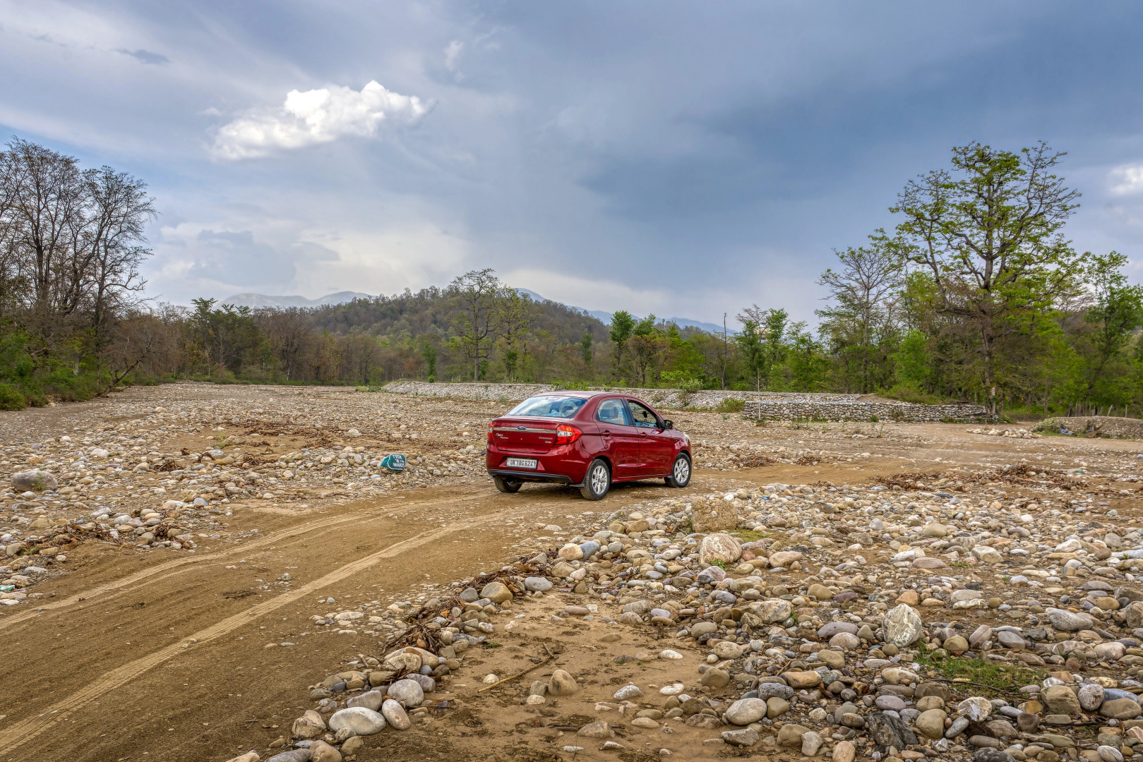 Pumpkin Hotel's Tusk N Woods