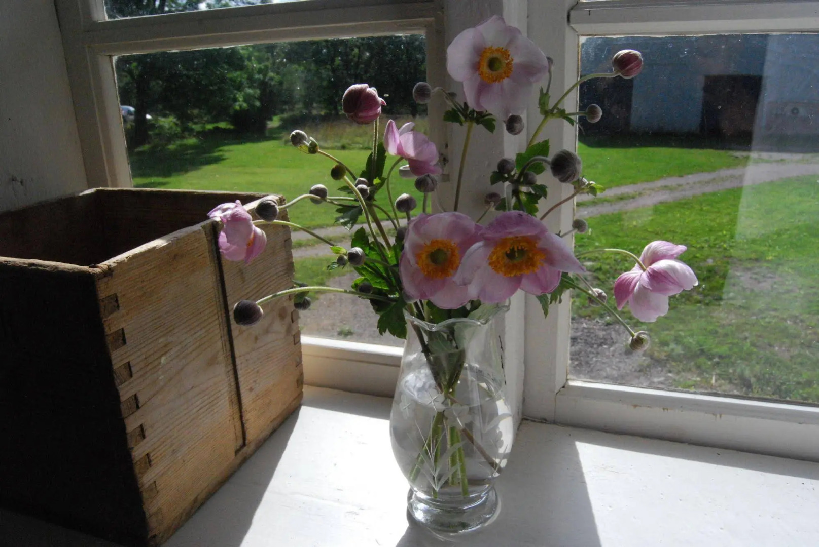 Nästegården Bed & Breakfast